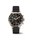 IW388309_1_transp