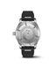 IW328209_5.jpg